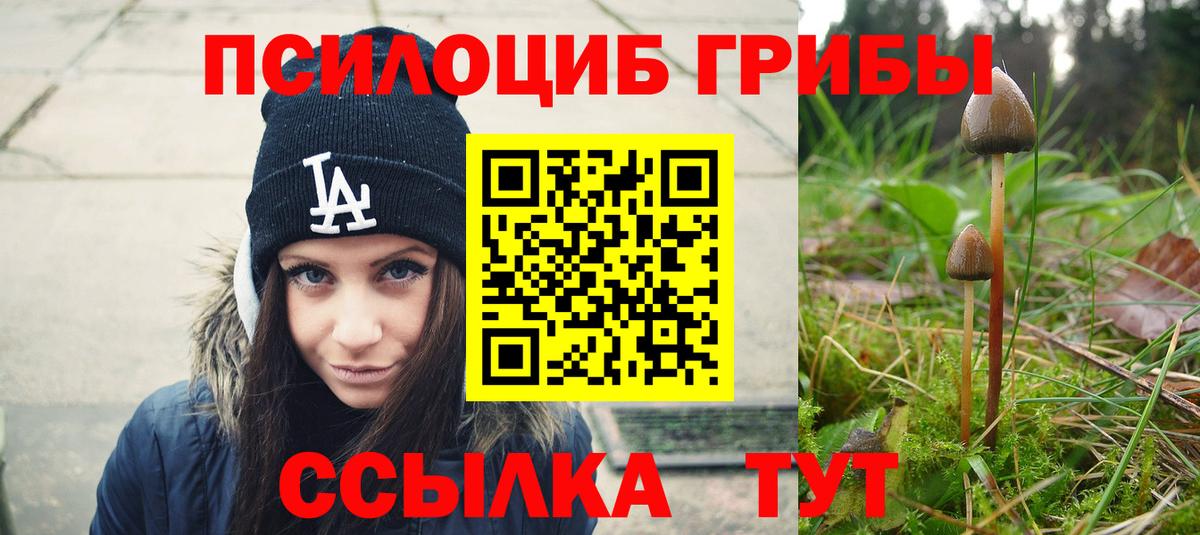 Тулун  Псилоцибиновые грибы GOLDEN TEACHER  Вход с VPN 